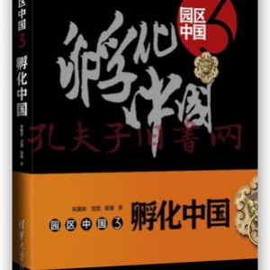 《园区中国3:孵化中国》 宋振庆 沈斌 梁椿 正版电子纸书